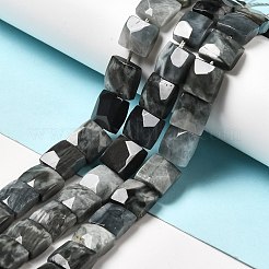 Натуральный орлиный глаз бусы G-G980-12