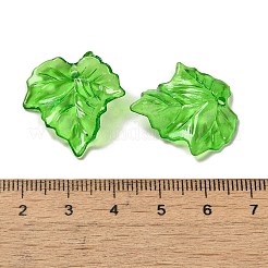 Подвеска акриловая прозрачная OACR-E039-69H