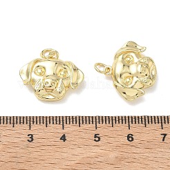 Pendentifs en laiton&nbsp;KK-T085-20B-G
