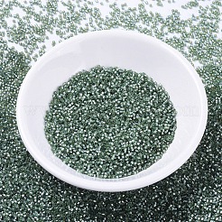 Miyuki Delica Perlen&nbsp;SEED-MY11-DB0689