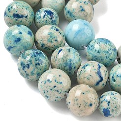 Rangs de perles fossiles naturelles de taille graduée&nbsp;G-F830-A03-01E
