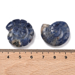 Декоративные элементы в виде раковин из натурального содалита.&nbsp;DJEW-D303-01L