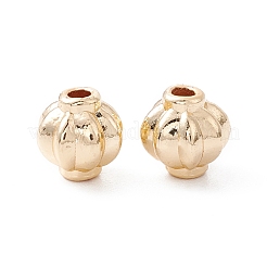 Cremagliera branelli della lega di placcatura&nbsp;FIND-WH0118-05C-G