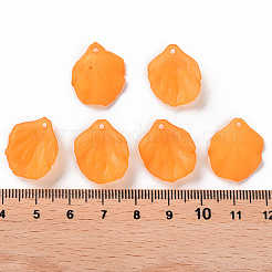 Прозрачные матовые акриловые подвески&nbsp;MACR-S371-01A-724