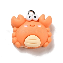 Подвески из непрозрачной смолы RESI-G043-E04-B