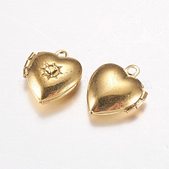 Подвески латуни медальон&nbsp;X-EC1173-G