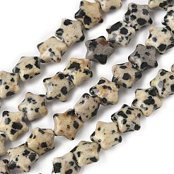 Нити бусин из натуральной далматинской яшмы в форме звезды G-Z080-A08