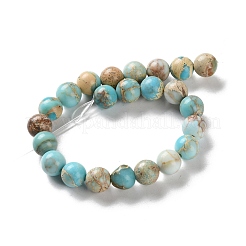 Нити бусин из окрашенного натурального регалита/императорской яшмы/морского осадка яшмы X-G-B124-C01-15