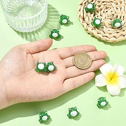 10шт ручной работы бусины лэмпворк LAMP-CJ0002-39