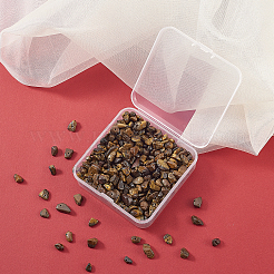 Естественно тигровые чип глаз бисер G-CJ0001-13