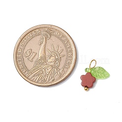 10 шт. подвески-цветы из натуральной красной яшмы&nbsp;PALLOY-JF03765-01