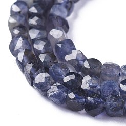 Натуральные кордиерит / иолит / дихроитовые бусины G-E560-A19