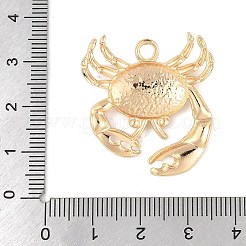 Латунные подвески&nbsp;KK-R219-19G