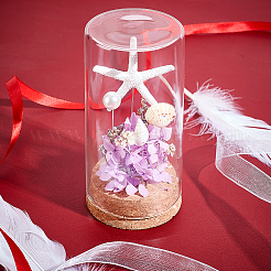 Пустая стеклянная банка&nbsp;AJEW-WH0083-46A