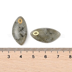 Природные подвески лабрадорита&nbsp;STAS-P380-80G-03