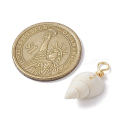 Спиральные подвески оболочки PALLOY-JF02492-01