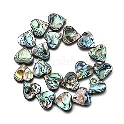 Нити бусин из натуральной раковины морского ушка/ракушки пауа SSHEL-F306-01