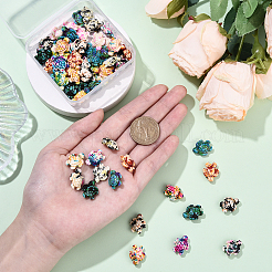 60шт 12 цвета синтетические бирюзовые бусины&nbsp;G-YW0002-36