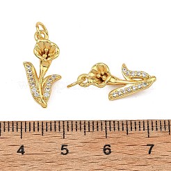 Messing micro pave klare zirkonia anhänger&nbsp;KK-F941-35B-G