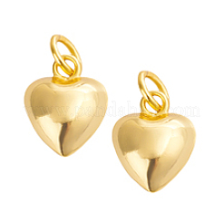 2 шт. 925 подвески из стерлингового серебра STER-PH0002-10