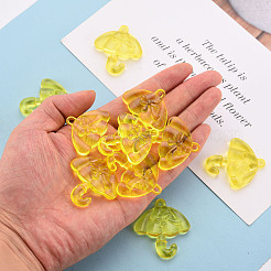 Прозрачные акриловые подвески&nbsp;TACR-T024-01B-916