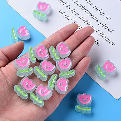 Прозрачные акриловые бусины&nbsp;X-MACR-S374-03B-05