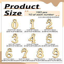 160шт 10 стиля подвески из сплава в тибетском стиле&nbsp;FIND-LP0002-73