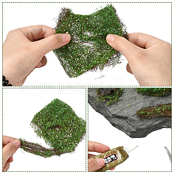 Имитация смолы корневая виноградная лоза растительная модель&nbsp;DIY-WH20053-65E