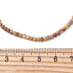 Halsketten aus facettierten Unterlegscheibe-Perlen aus natürlichen&nbsp;NJEW-JN06286
