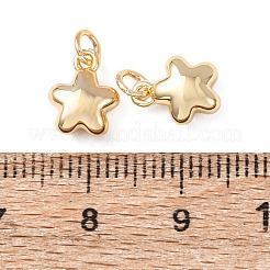 Латунные подвески&nbsp;KK-C143-20G