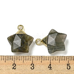 Natur Labradorit Anhänger&nbsp;G-P540-01G-06