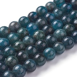 Natürliche Apatit Perlen Stränge, Runde, 8 mm, Bohrung: 1.2 mm, ca. 46~47 Stk. / Strang, 14.7~15.5 Zoll (3~39.5 cm)