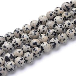 Natur Dalmatiner Jaspis Perle Stränge, Runde, 10~11 mm, Bohrung: 1 mm, ca. 37 Stk. / Strang, 15.2 Zoll
