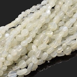 Natürliche weiße Mondstein-Nuggets-Perlenstränge, getrommelt Stein, 5~10x6~7x3~7 mm, Bohrung: 1 mm, ungefähr 14.9 Zoll ~ 15.7 Zoll
