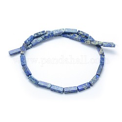 Natural Imperial Jasper Beads Strands, Dyed, Rectangle, Royal Blue, 13.5~14x4~4.5x4~4.5mm, Hole: 1mm, about 28pcs/strand, 15.15 inch(38.5cm)