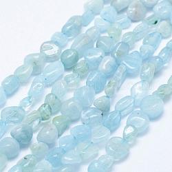 Chapelets de perles en aigue-marine naturelle, pierre roulée, pépites, 5~11x4~8mm, Trou: 1mm, 15.3 pouce ~ 15.7 pouces (39~40 cm)