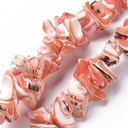 Natural Trochid Shell/Trochus Shell Bead Strands, Dyed, Nuggets, Light Salmon, 8~16x7~13x2~15mm, Hole: 1.2mm, about 39~46pcs/strand, 6.89 inch~7.28 inch(17.5~18.5cm)