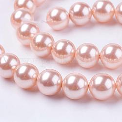 Shell Pearl Beads Strands, Round, Pink, 10mm, Hole: 1mm, about 38pcs/strand, 15.7 inch