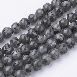 Brins de perles de larvikite noire naturelle, ronde, 6~6.5mm, Trou: 1mm, Environ 60 pcs/chapelet, 14.9 pouce (38 cm)