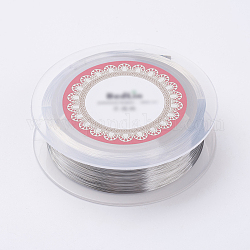 Steel Wire, Silver, Stainless Steel Color, 0.15mm