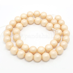 Chapelets de perles rondes en coquille mate, amande blanchie, 10mm, Trou: 1mm, environ 40 / pcs brins, 15.7 pouce