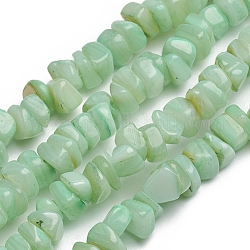 Chapelets de perles de coquillage, pour la fabrication de bijoux, bricolage artisanat, teinte, chips de pépites, pelouse verte, 6.2x6.2x1.3mm, Trou: 0.8mm, Environ 107 pcs/chapelet, 15.16 pouce (38.5 cm)