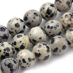 Chapelets de perles en jaspe dalmatien naturelle, ronde, 10mm, Trou: 1mm, Environ 38 pcs/chapelet, 15.7 pouce