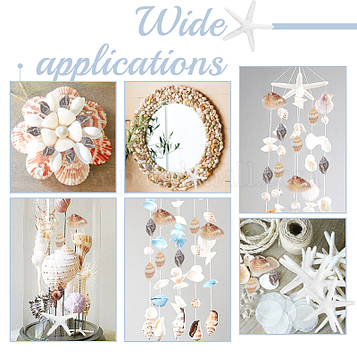 Украшения из натуральной смолы в виде кабошонов из ракушек и морских звезд SHEL-AR0001-13-1