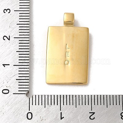 Подвески из нержавеющей стали 304 STAS-L022-306G-05-1