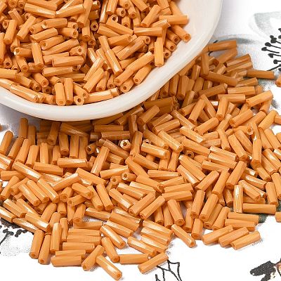 Стеклянные бусины SEED-C004-02F-1