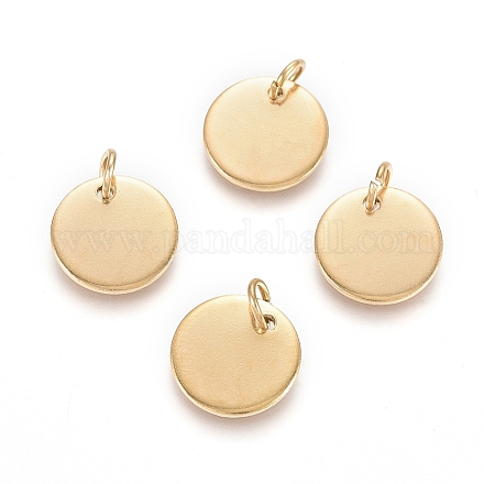 Ионное покрытие (ip) подвески из нержавеющей стали 304 X-EJEW-L238-03D-G-1