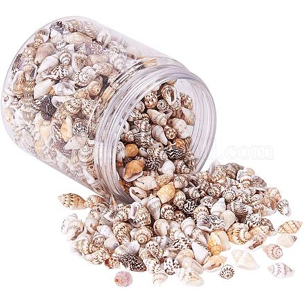 PandaHall 200g 2 Styles Tiny Sea Shell Ocean Beach Spiral Seashells Craft Charms for Candle Making Home Decoration Beach Theme Party Wedding Decor Fish Tank and Vase Filler(1mm/1.2mm Hole) BSHE-PH0003-13-1