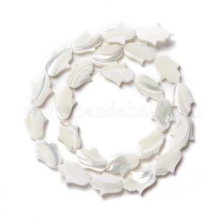 Natural Trochid Shell/Trochus Shell Beads SSHEL-O001-23B-1