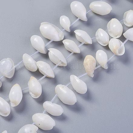 Natural White Shell Beads BSHE-G019-05-1